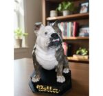 Pet Personalizado 3D 12cm + Base com Nome - Imagem 5